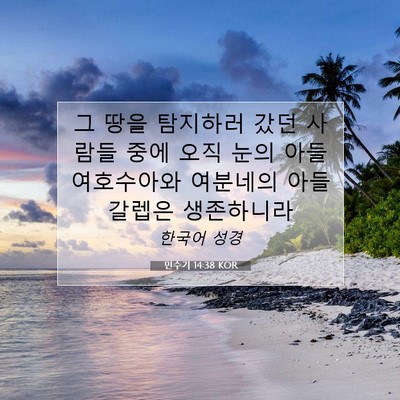 Picture 07 - 민수기 14:38 KOR - 그 땅을 탐지하러 갔던 사람들 중에 - Bible Verse Picture