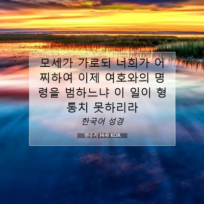 Picture 07 - 민수기 14:41 KOR - 모세가 가로되 너희가 어찌하여 이제 - Bible Verse Picture