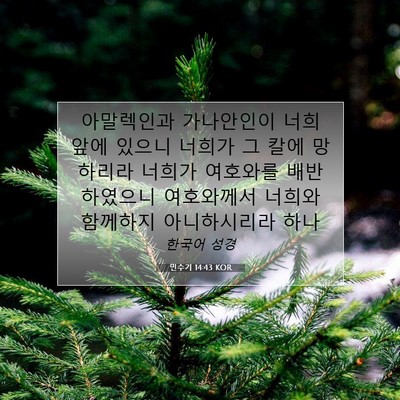 Picture 07 - 민수기 14:43 KOR - 아말렉인과 가나안인이 너희 앞에 - Bible Verse Picture