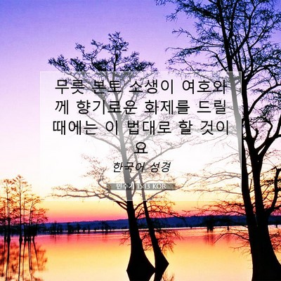 Picture 07 - 민수기 15:13 KOR - 무릇 본토 소생이 여호와께 향기로운 - Bible Verse Picture