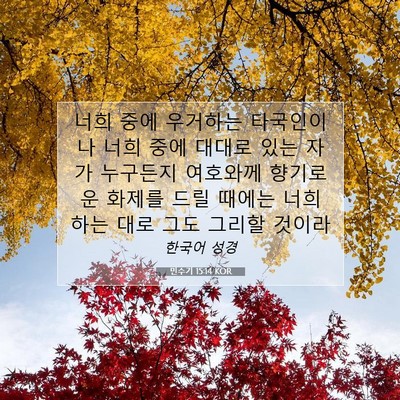 Picture 07 - 민수기 15:14 KOR - 너희 중에 우거하는 타국인이나 너희 - Bible Verse Picture