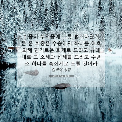 Picture 07 - 민수기 15:24 KOR - 회중이 부지중에 그릇 범죄하였거든 - Bible Verse Picture