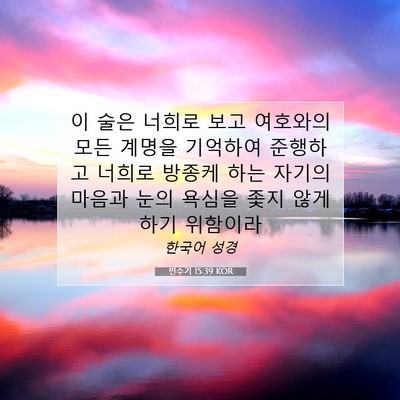 Picture 07 - 민수기 15:39 KOR - 이 술은 너희로 보고 여호와의 모든 - Bible Verse Picture
