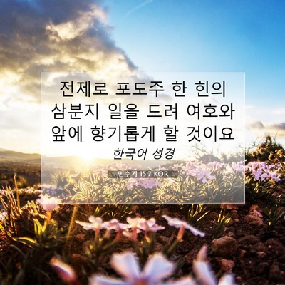 Picture 07 - 민수기 15:7 KOR - 전제로 포도주 한 힌의 삼분지 일을 - Bible Verse Picture