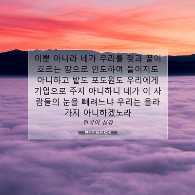 Picture 07 - 민수기 16:14 KOR - 이뿐 아니라 네가 우리를 젖과 꿀이 - Bible Verse Picture
