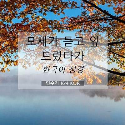 Picture 07 - 민수기 16:4 KOR - 모세가 듣고 - Bible Verse Picture