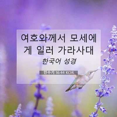 Picture 07 - 민수기 16:44 KOR - 여호와께서 모세에게 일러 - Bible Verse Picture
