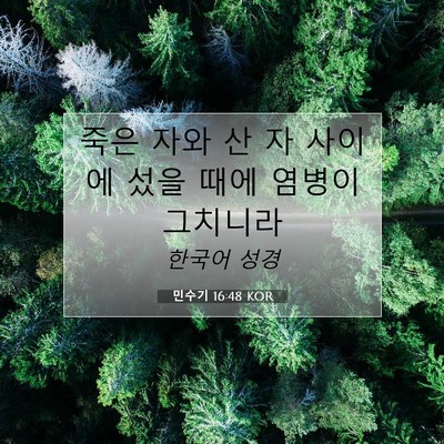 Picture 07 - 민수기 16:48 KOR - 죽은 자와 산 자 사이에 섰을 때에 - Bible Verse Picture