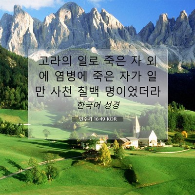 Picture 07 - 민수기 16:49 KOR - 고라의 일로 죽은 자 외에 염병에 - Bible Verse Picture