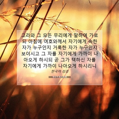 Picture 07 - 민수기 16:5 KOR - 고라와 그 모든 무리에게 말하여 - Bible Verse Picture