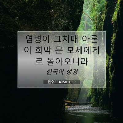 Picture 07 - 민수기 16:50 KOR - 염병이 그치매 아론이 회막 문 - Bible Verse Picture