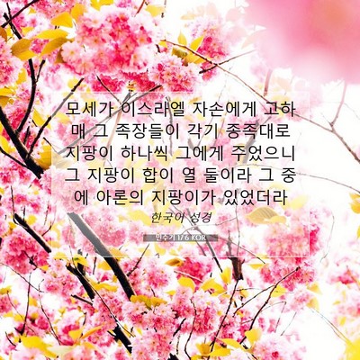 Picture 07 - 민수기 17:6 KOR - 모세가 이스라엘 자손에게 고하매 그 - Bible Verse Picture