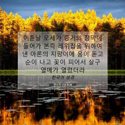 Picture 07 - 민수기 17:8 KOR - 이튿날 모세가 증거의 장막에 들어가 - Bible Verse Picture