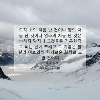 Picture 07 - 민수기 18:17 KOR - 오직 소의 처음 난 것이나 양의 처음 - Bible Verse Picture