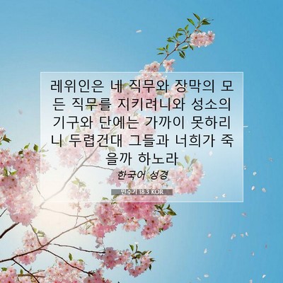 Picture 07 - 민수기 18:3 KOR - 레위인은 네 직무와 장막의 모든 - Bible Verse Picture