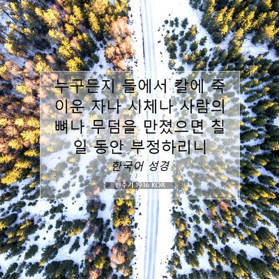 Picture 07 - 민수기 19:16 KOR - 누구든지 들에서 칼에 죽이운 자나 - Bible Verse Picture