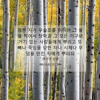 Picture 07 - 민수기 19:18 KOR - 정한 자가 우슬초를 취하여 그 물을 - Bible Verse Picture