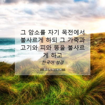 Picture 07 - 민수기 19:5 KOR - 그 암소를 자기 목전에서 불사르게 - Bible Verse Picture