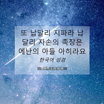 Picture 07 - 민수기 2:29 KOR - 또 납달리 지파라 납달리 자손의 - Bible Verse Picture