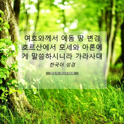 Picture 07 - 민수기 20:23 KOR - 여호와께서 에돔 땅 변경 호르산에서 - Bible Verse Picture