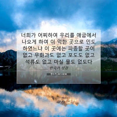Picture 07 - 민수기 20:5 KOR - 너희가 어찌하여 우리를 애굽에서 - Bible Verse Picture