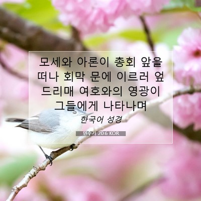 Picture 07 - 민수기 20:6 KOR - 모세와 아론이 총회 앞을 떠나 회막 - Bible Verse Picture