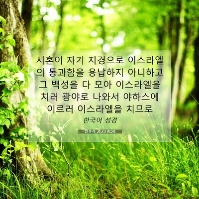 Picture 07 - 민수기 21:23 KOR - 시혼이 자기 지경으로 이스라엘의 - Bible Verse Picture
