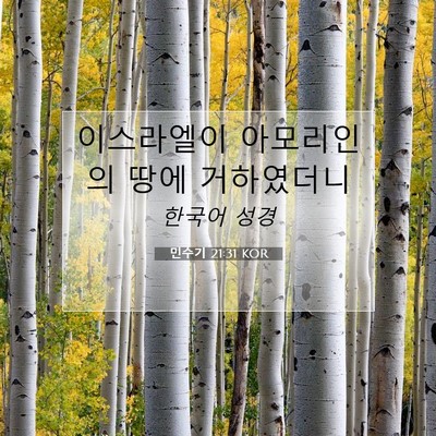 Picture 07 - 민수기 21:31 KOR - 이스라엘이 아모리인의 땅에 - Bible Verse Picture