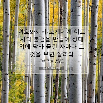 Picture 07 - 민수기 21:8 KOR - 여호와께서 모세에게 이르시되 - Bible Verse Picture