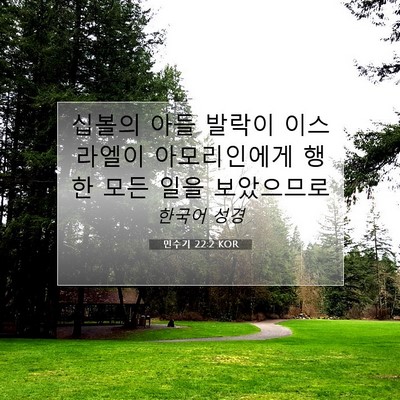 Picture 07 - 민수기 22:2 KOR - 십볼의 아들 발락이 이스라엘이 - Bible Verse Picture