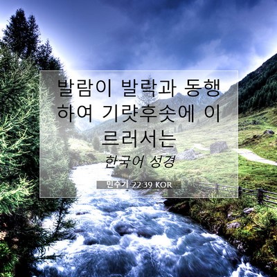 Picture 07 - 민수기 22:39 KOR - 발람이 발락과 동행하여 기럇후솟에 - Bible Verse Picture