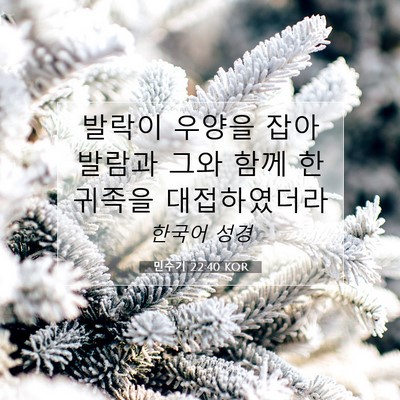 Picture 07 - 민수기 22:40 KOR - 발락이 우양을 잡아 발람과 그와 - Bible Verse Picture