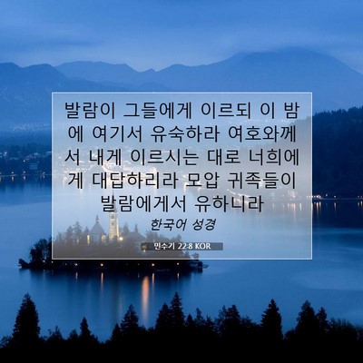 Picture 07 - 민수기 22:8 KOR - 발람이 그들에게 이르되 이 밤에 - Bible Verse Picture