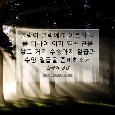 Picture 07 - 민수기 23:29 KOR - 발람이 발락에게 이르되 나를 위하여 - Bible Verse Picture