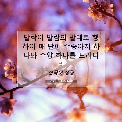 Picture 07 - 민수기 23:30 KOR - 발락이 발람의 말대로 행하여 매 - Bible Verse Picture