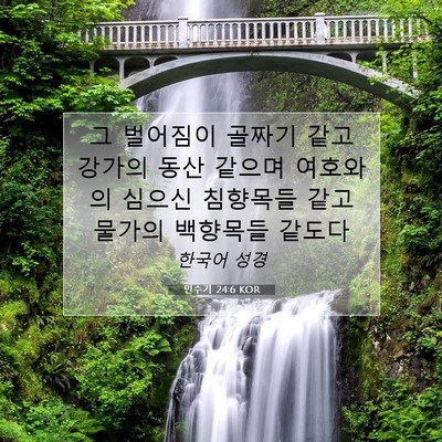 Picture 07 - 민수기 24:6 KOR - 그 벌어짐이 골짜기 같고 강가의 - Bible Verse Picture