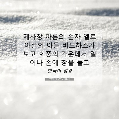 Picture 07 - 민수기 25:7 KOR - 제사장 아론의 손자 엘르아살의 아들 - Bible Verse Picture
