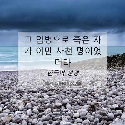 Picture 07 - 민수기 25:9 KOR - 그 염병으로 죽은 자가 이만 사천 - Bible Verse Picture