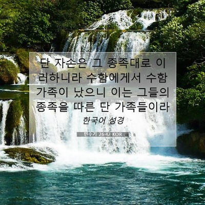 Picture 07 - 민수기 26:42 KOR - 단 자손은 그 종족대로 이러하니라 - Bible Verse Picture