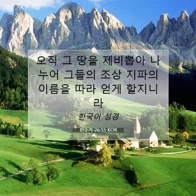 Picture 07 - 민수기 26:55 KOR - 오직 그 땅을 제비뽑아 나누어 - Bible Verse Picture