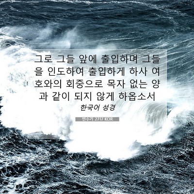 Picture 07 - 민수기 27:17 KOR - 그로 그들 앞에 출입하며 그들을 - Bible Verse Picture