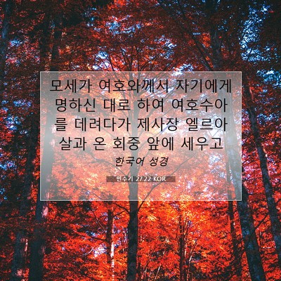 Picture 07 - 민수기 27:22 KOR - 모세가 여호와께서 자기에게 명하신 - Bible Verse Picture