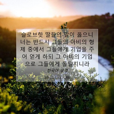 Picture 07 - 민수기 27:7 KOR - 슬로브핫 딸들의 말이 옳으니 너는 - Bible Verse Picture