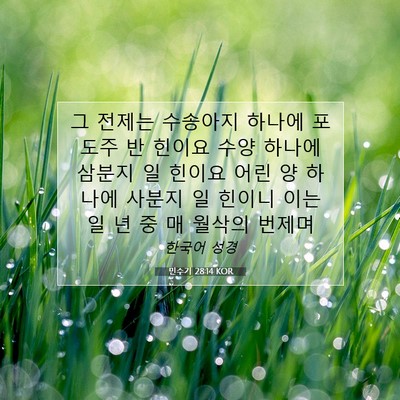 Picture 07 - 민수기 28:14 KOR - 그 전제는 수송아지 하나에 포도주 - Bible Verse Picture