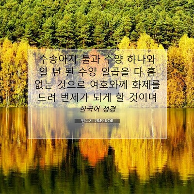 Picture 07 - 민수기 28:19 KOR - 수송아지 둘과 수양 하나와 일 년 된 - Bible Verse Picture