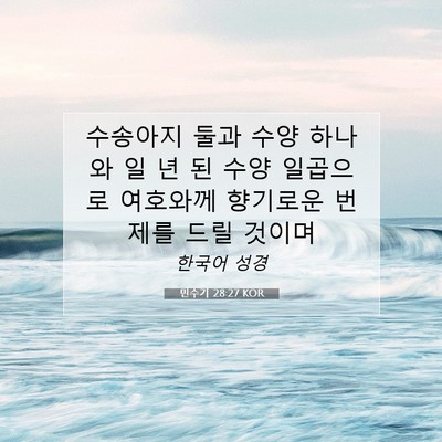 Picture 07 - 민수기 28:27 KOR - 수송아지 둘과 수양 하나와 일 년 된 - Bible Verse Picture