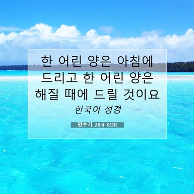 Picture 07 - 민수기 28:4 KOR - 한 어린 양은 아침에 드리고 한 어린 - Bible Verse Picture