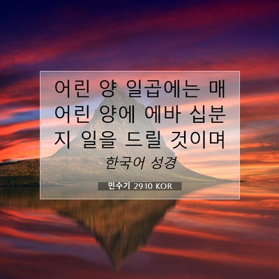 Picture 07 - 민수기 29:10 KOR - 어린 양 일곱에는 매 어린 양에 에바 - Bible Verse Picture