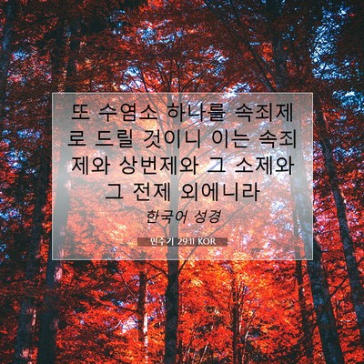 Picture 07 - 민수기 29:11 KOR - 또 수염소 하나를 속죄제로 드릴 - Bible Verse Picture