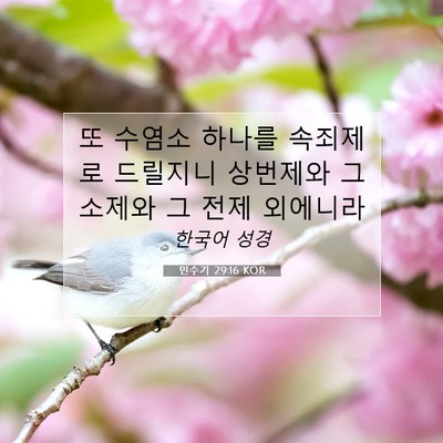 Picture 07 - 민수기 29:16 KOR - 또 수염소 하나를 속죄제로 드릴지니 - Bible Verse Picture